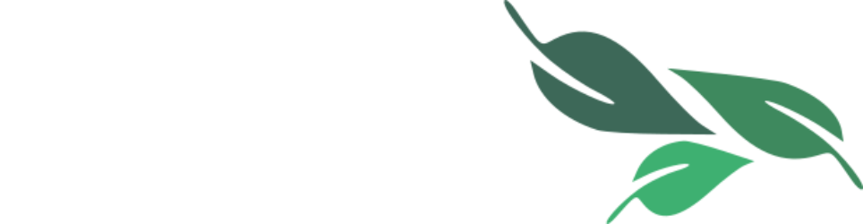 Diamantina Miño